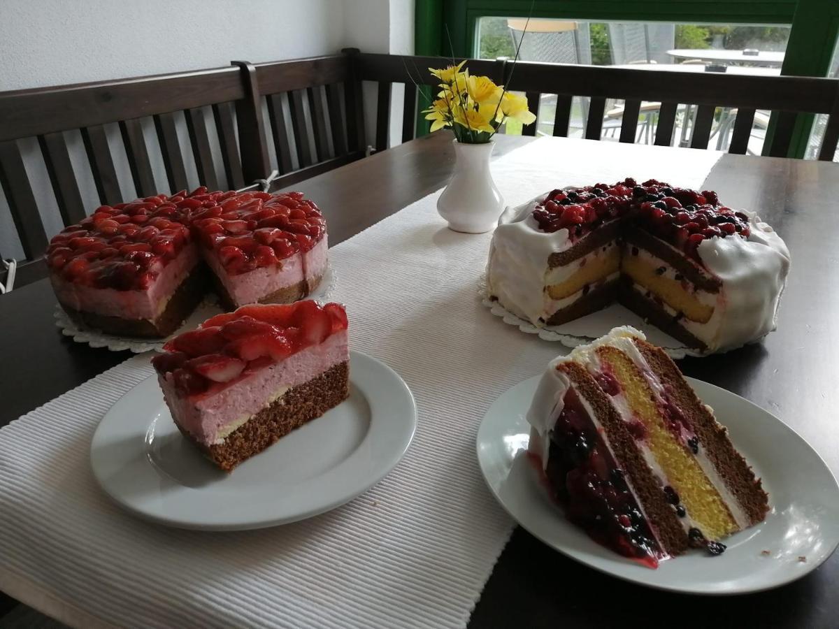 Chata Rozhlas Železná Ruda Esterno foto