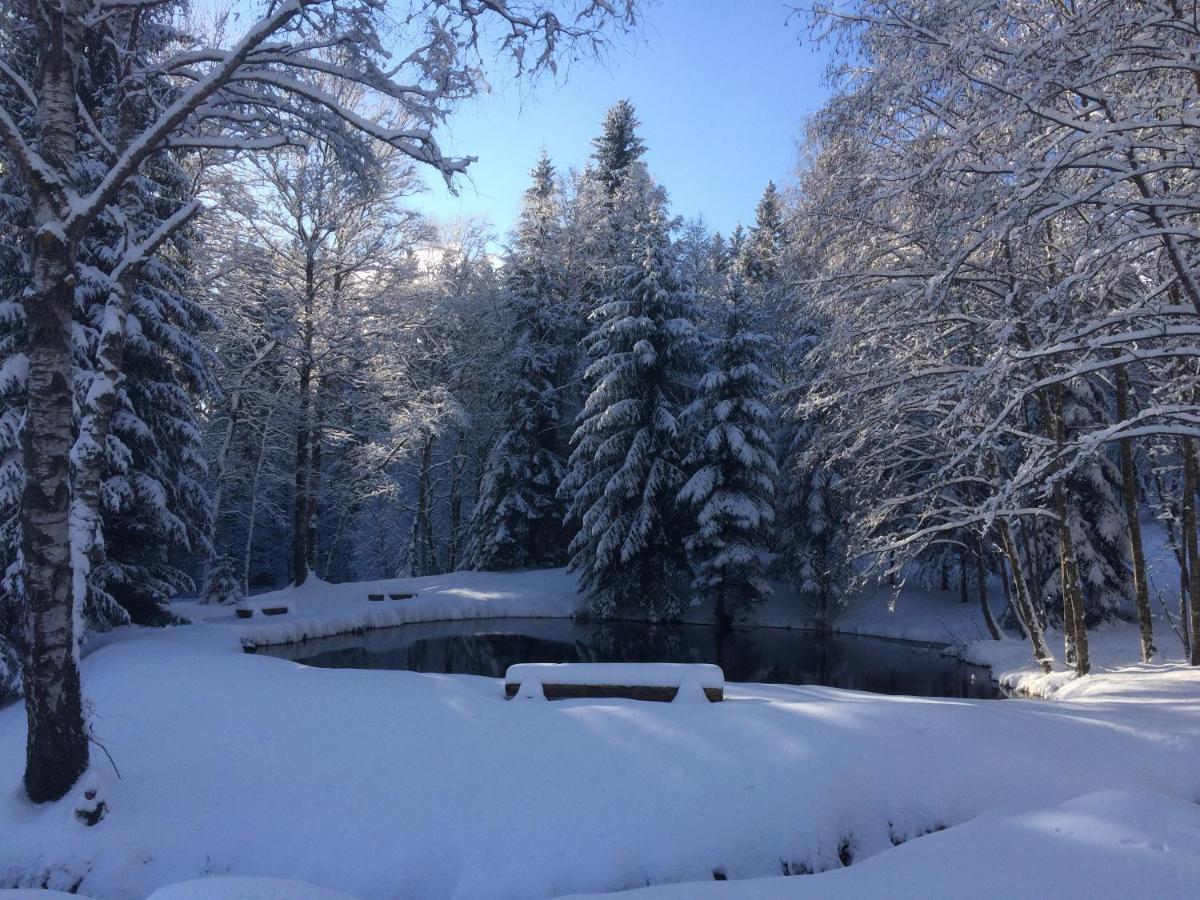 Chata Rozhlas Železná Ruda Esterno foto